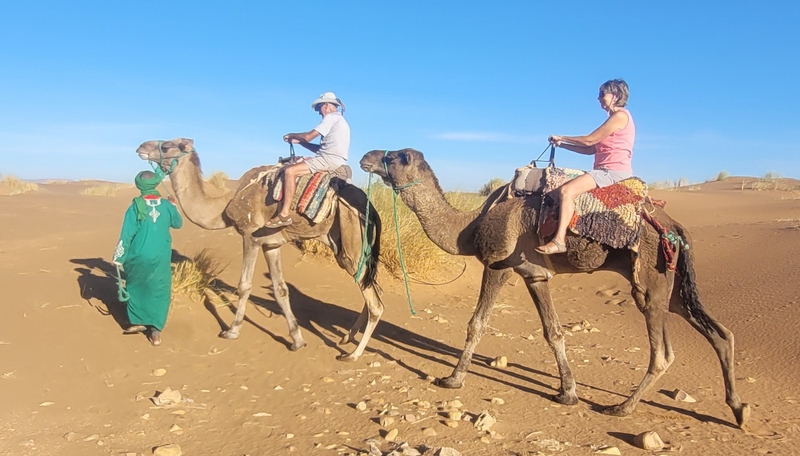 Pascale et Hubert découvrent les paysages du Sahara marocain lors d'une randonnée guidée à dos de dromadaire.
